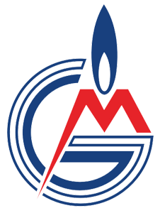 Partner logo delligiftshop.md